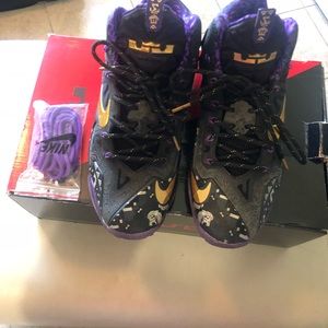 Lebron 11 Black History Month